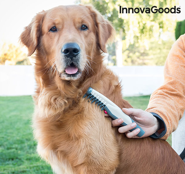 Elektrický Hrebeň na Vyčesávanie Srsti pre Psov InnovaGoods Elektrický Hrebeň na Vyčesávanie Srsti pre Psov InnovaGoods